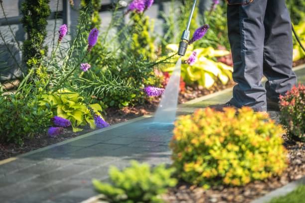Best Animal Enclosure Cleaning  in Riverview, SC