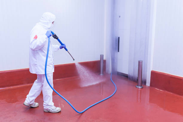 Best Solar Panel Cleaning  in Riverview, SC